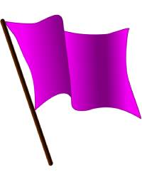 significado bandera lila playa