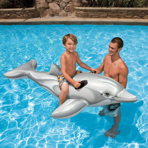 flotador delfin