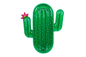 flotador-cactus